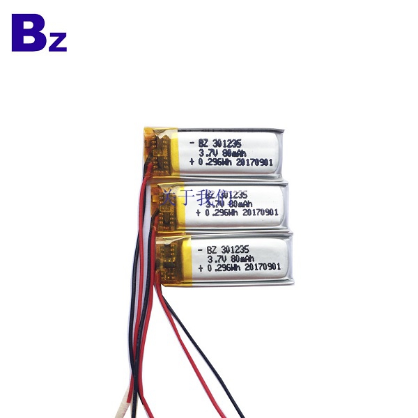 Rechargeable LiPo Battery