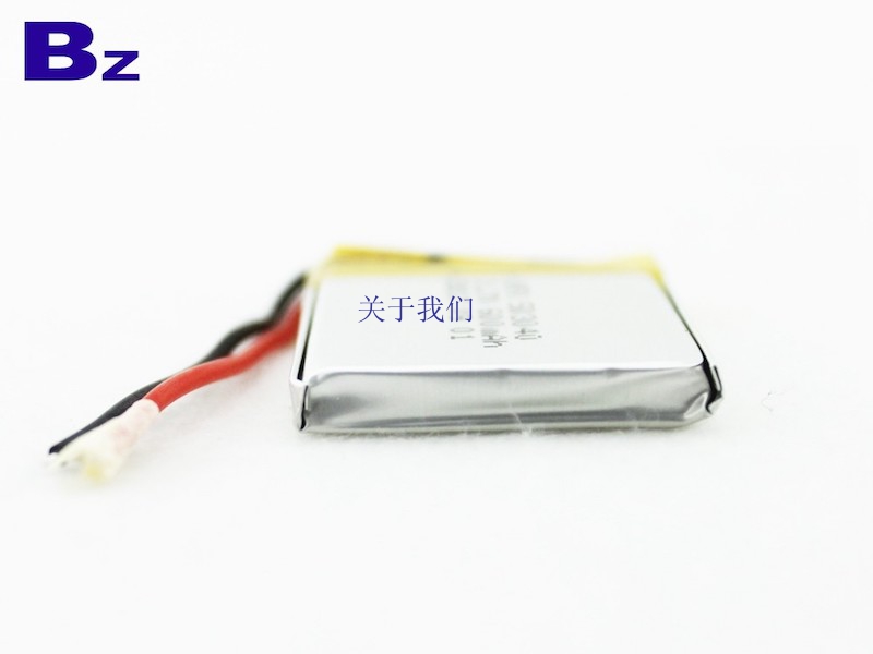 Rechargeable Li-Polymer Battery