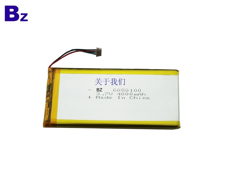 4000mah Li-Polymer Battery