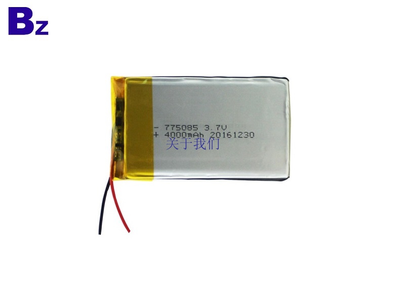 4000mah Rechargeable Polymer Li-Ion Battery