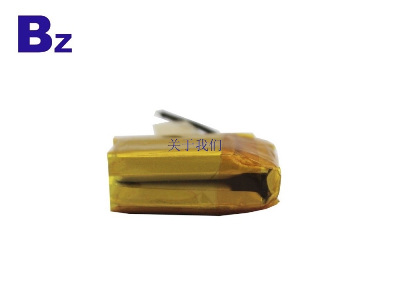 Lithium Battery for Handle Lighting