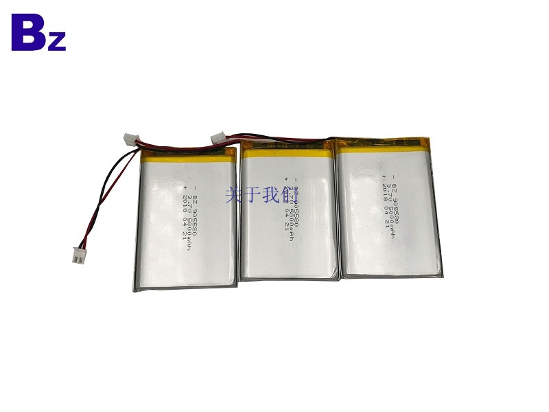 Polymer Li-Ion Battery